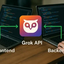 Интеграция Grok API во фронтенд и бэкенд приложения